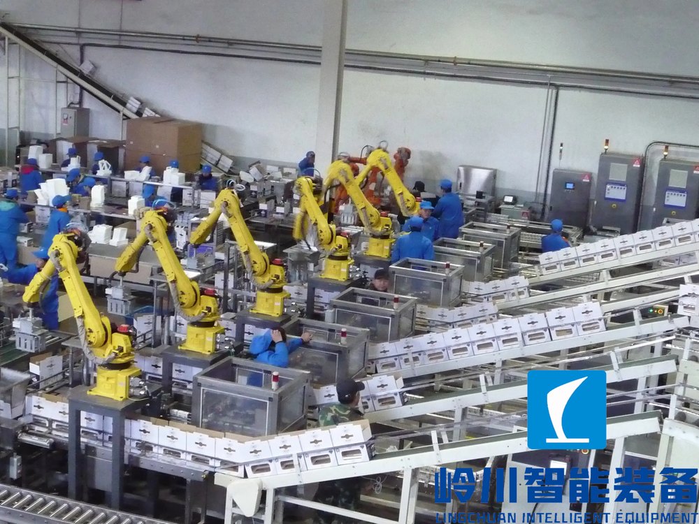 1669186722917909.jpg 機(jī)械手3.webp.jpg